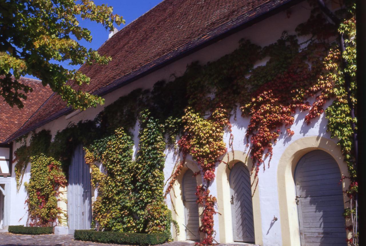 Markgraeflich Badischer Gasthof Schwanen Залем Экстерьер фото