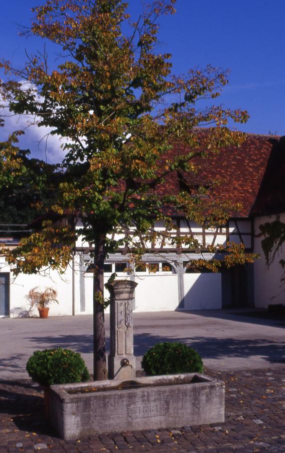 Markgraeflich Badischer Gasthof Schwanen Залем Экстерьер фото